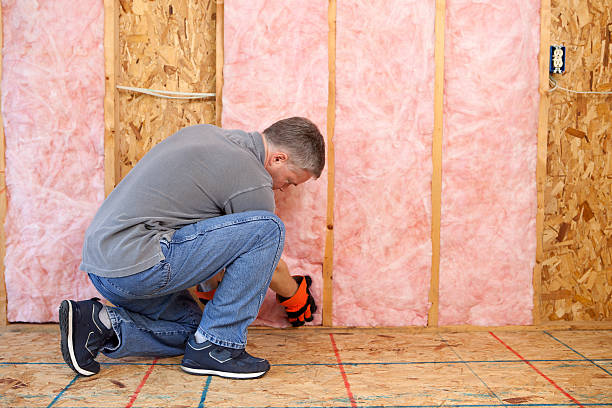 Best Insulation Repair Services  in Bay, AR