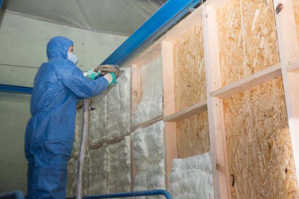 Best Home Insulation Services  in Bay, AR