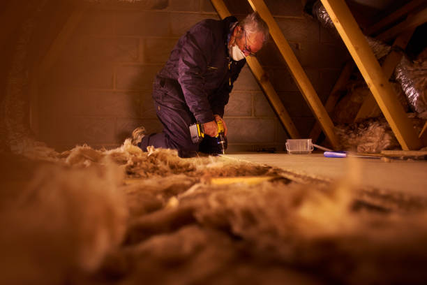 Best Local Insulation Services  in Bay, AR