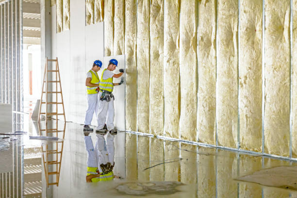 Best Residential Insulation Services  in Bay, AR